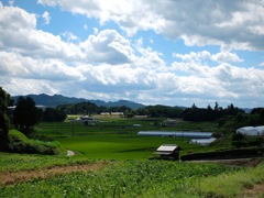 明日香村 大字平田 明日香村 大字平田