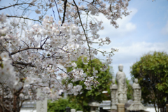 明日香村　大字豊浦