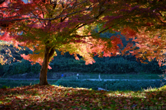 明日香村　大字稲渕