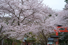 橿原市　畝火山口神社