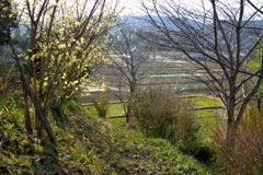 明日香村 大字栗原 明日香村 大字栗原