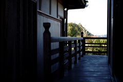 明日香村 大字川原( 川原寺跡 ) 明日香村 大字川原( 川原寺跡 )