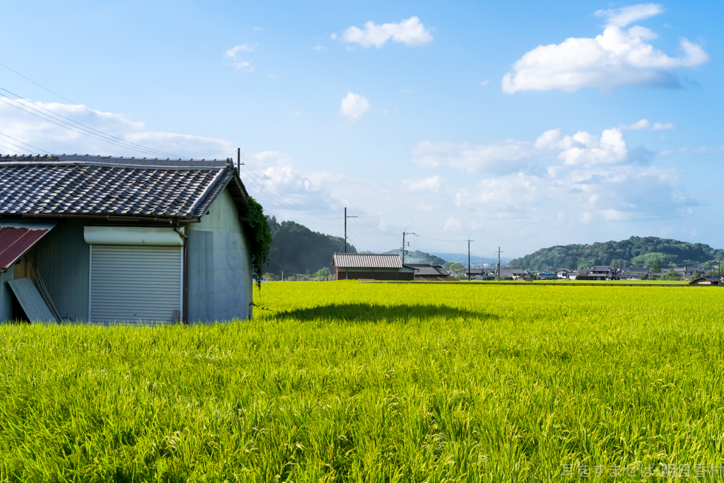 明日香村　大字岡