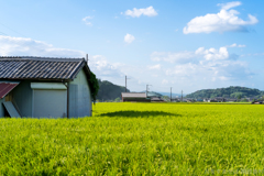 明日香村　大字岡