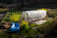 明日香村　大字稲渕