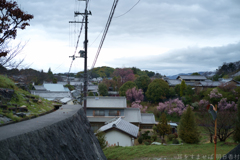 明日香村 大字立部