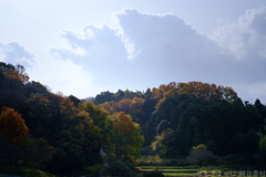 明日香村 大字豊浦( 国営飛鳥歴史公園 甘樫丘地区 ) 明日香村 大字豊浦( 国営飛鳥歴史公園 甘樫丘地区 )