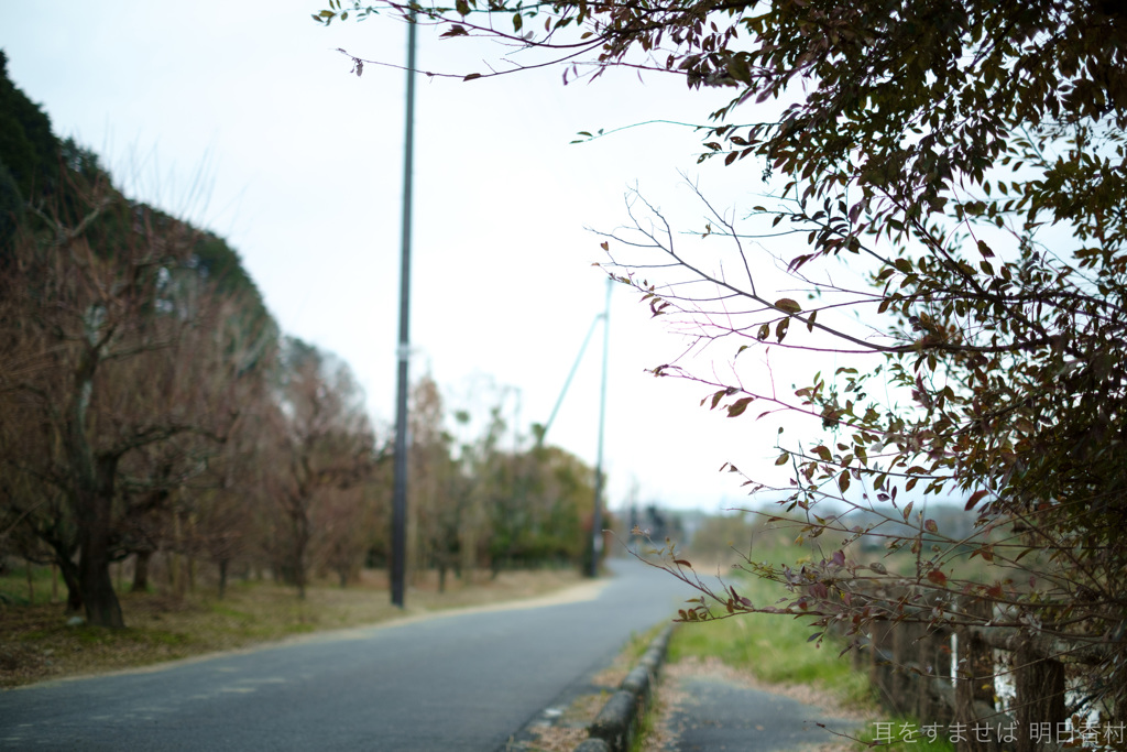 明日香村　大字豊浦