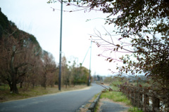 明日香村　大字豊浦