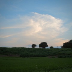 明日香村 岡 ( 川原寺跡付近 ) 明日香村 岡 ( 川原寺跡付近 )