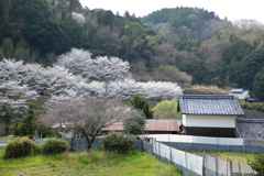 明日香村　大字稲渕