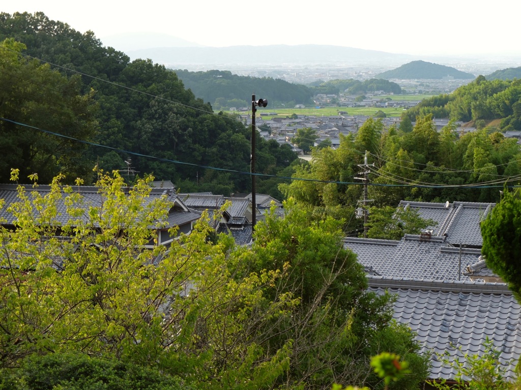 明日香村 阪田