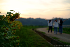 明日香村 大字岡 明日香村 大字岡