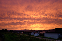 磯城郡三宅町　寺川沿いより夕焼けを見る