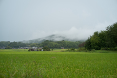 明日香村　大字川原