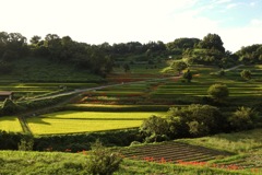 明日香村 大字稲淵