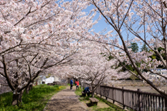 橿原市石川町（石川池）