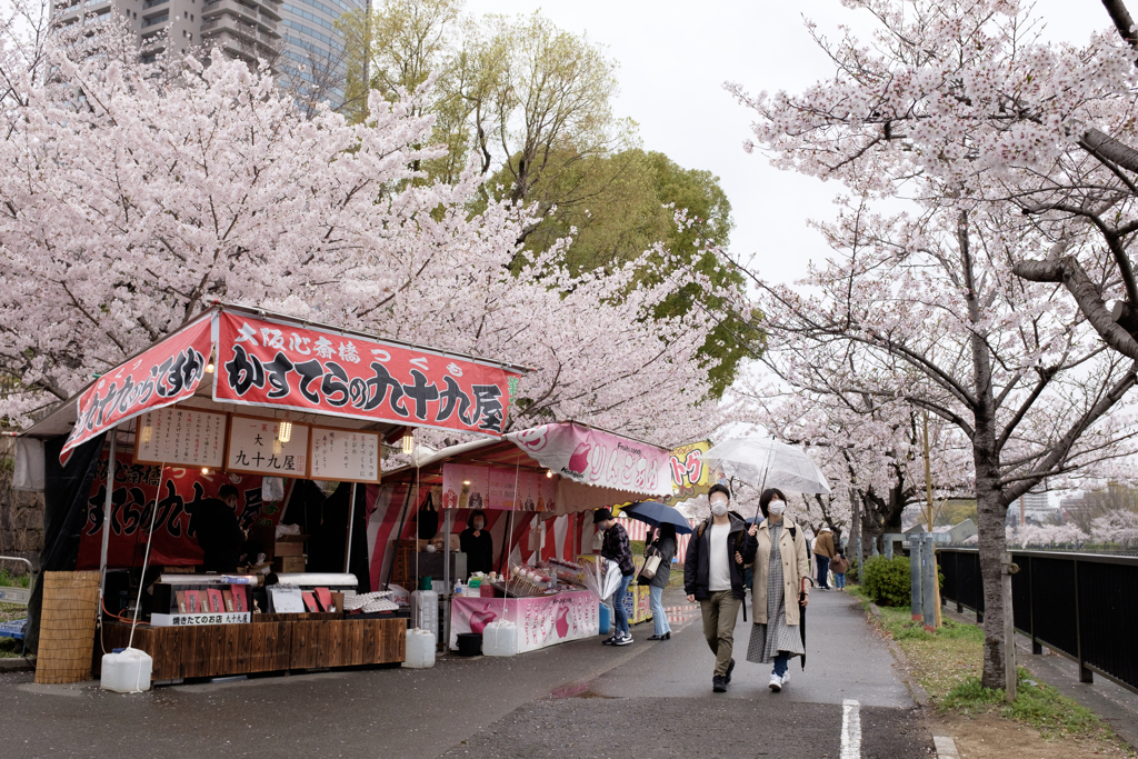 大阪市都島区　毛馬桜之宮公園の桜