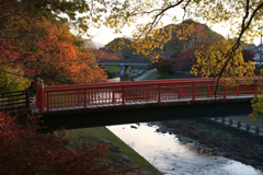 奈良県生駒郡斑鳩町　竜田川沿いの紅葉