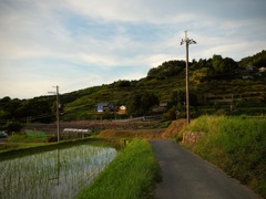 明日香村 阪田