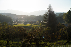 明日香村　大字野口