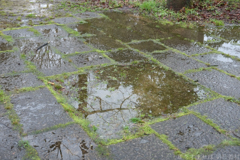 明日香村 大字平田