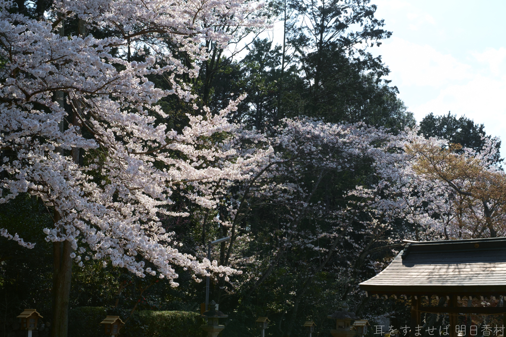 橿原市　畝火山口神社