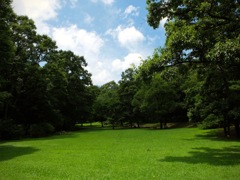 明日香村 豊浦 （ 甘樫丘 ）