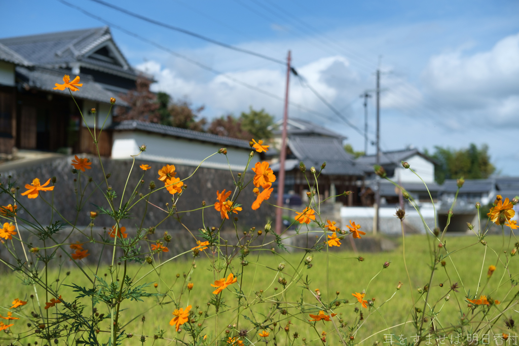 明日香村　大字檜前