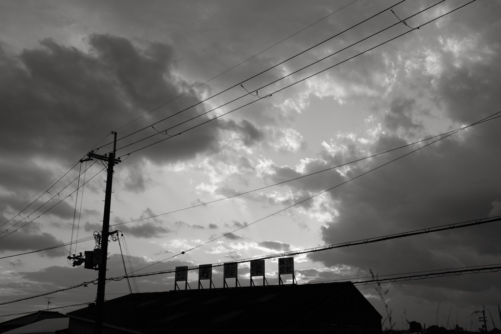 大阪府羽曳野市　石川沿い