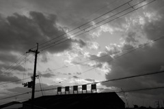 大阪府羽曳野市　石川沿い