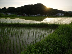 明日香村 阪田