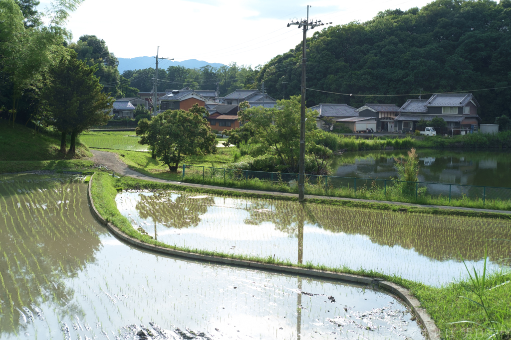 橿原市　鳥屋町