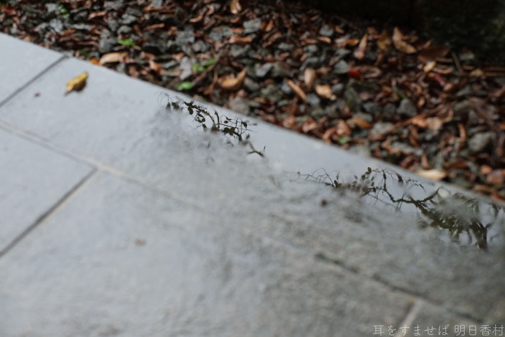 国営飛鳥歴史公園　高松塚周辺地区