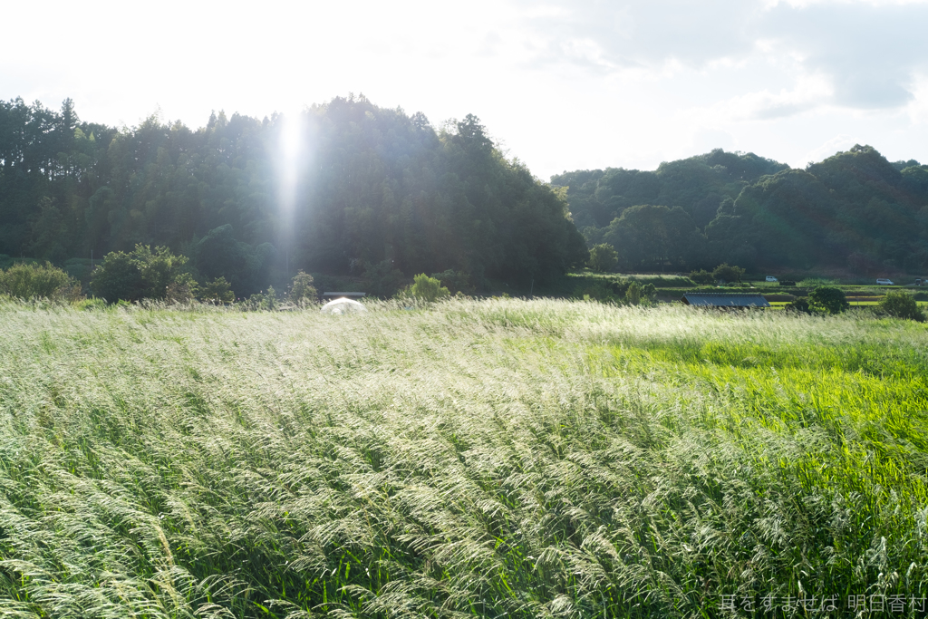 明日香村　大字岡