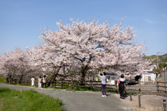 明日香村大字川原