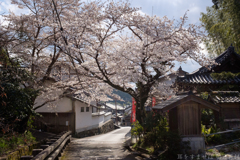 明日香村 大字岡 明日香村 大字岡