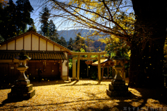 奈良県桜井市　素盞雄神社