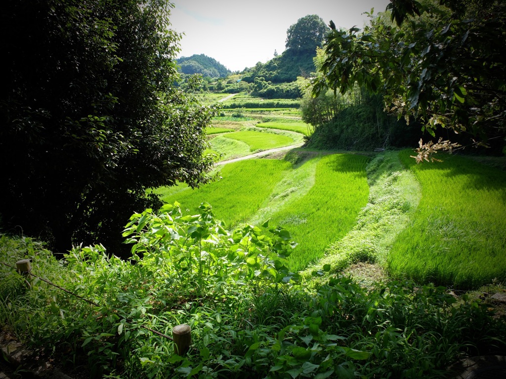 明日香村　大字祝戸