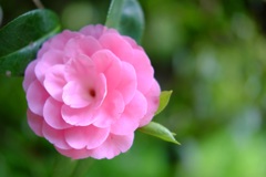 明日香村 大字檜前 明日香村 大字檜前