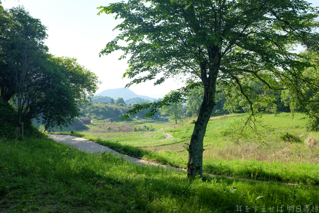 明日香村　大字豊浦