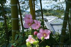 明日香村　大字檜前