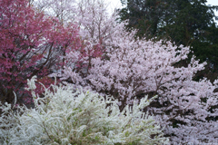 明日香村 大字平田