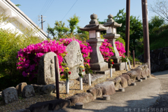 明日香村 大字豊浦 明日香村 大字豊浦