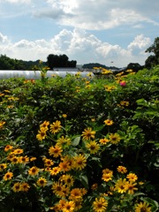 明日香村 平田 明日香村 平田