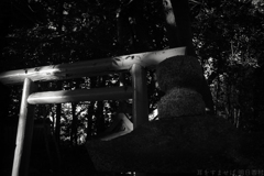 橿原市木之本町　畝尾都多本神社