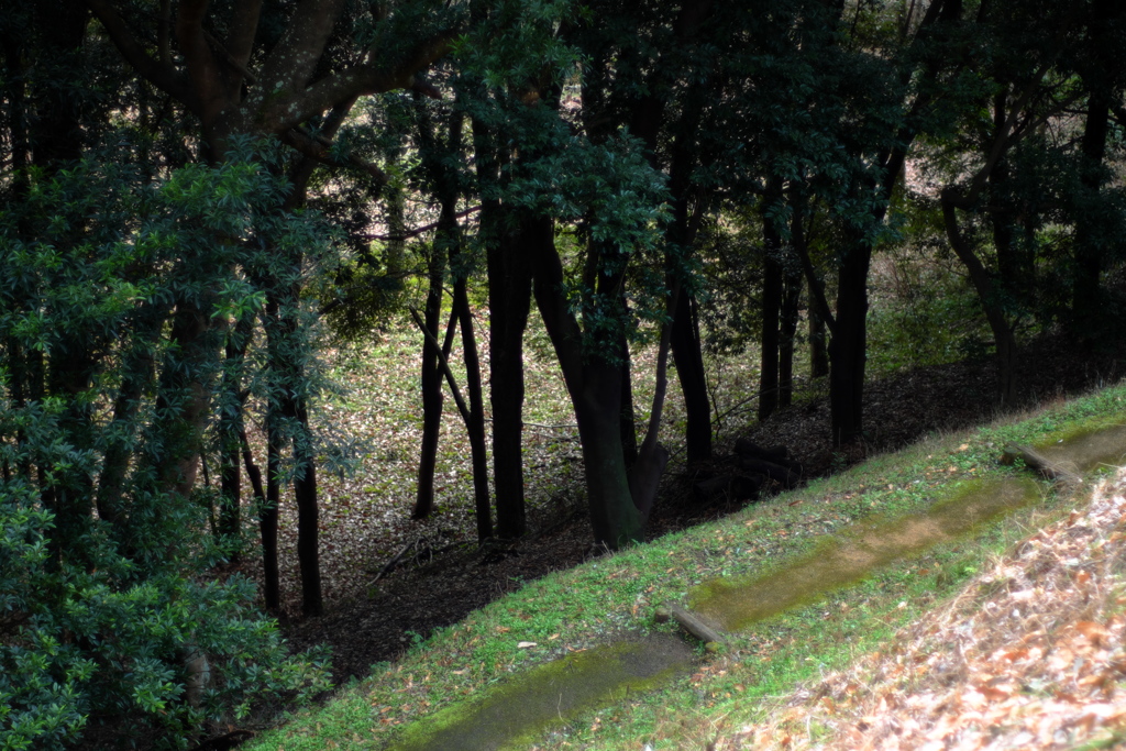 明日香村　大字豊浦　甘樫丘