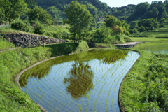 明日香村 大字稲渕 明日香村 大字稲渕