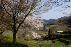 明日香村 大字稲渕 明日香村 大字稲渕