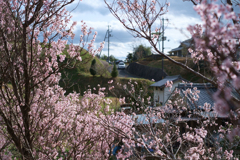 明日香村　大字立部